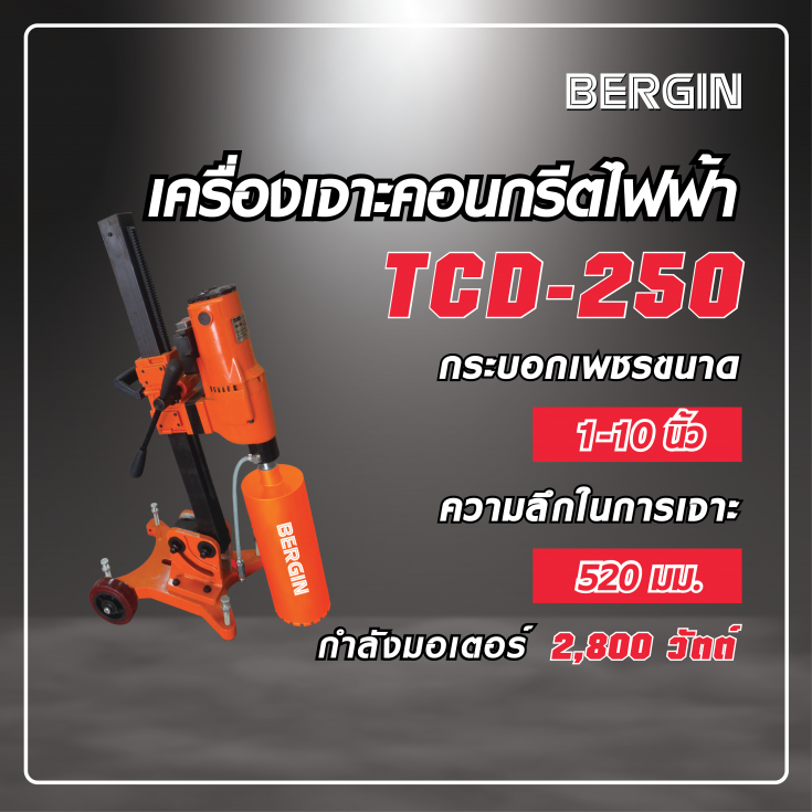 เครื่องเจาะคอนกรีตไฟฟ้า TCD 250